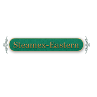 Black Business, Local, National and Global Businesses of Color Steamex Eastern of Toledo in  